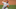 May 24, 2022; Hoover, AL, USA; Alabama pitcher Dylan Ray (38) pitches the ninth inning as Alabama May 24, 2022; Hoover, AL, USA; Alabama pitcher Dylan Ray (38) pitches the ninth inning as Alabama