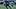 Malik Muhammad in coverage Malik Muhammad in coverage