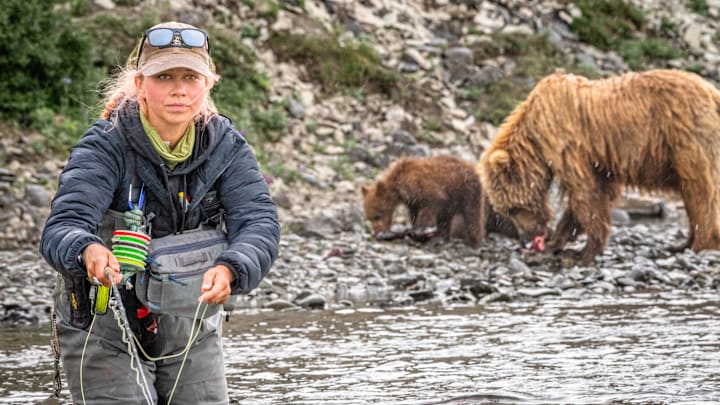 Alaskan fly fishing guide, Skylar Lamont, deeply focused on task at hand, and not phased by the company. 