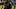 Pittsburgh Steelers tight end Darnell Washington Pittsburgh Steelers tight end Darnell Washington