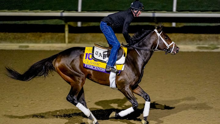 Fierceness, trained by Todd A. Pletcher, exercises in preparation for the Longines Breeders' Cup Classic at Del Mar Thoroughbred Club in Del Mar, California on October 28, 2025. Fierceness, trained by Todd A. Pletcher, exercises in preparation for the Longines Breeders' Cup Classic at Del Mar Thoroughbred Club in Del Mar, California on October 28, 2025.