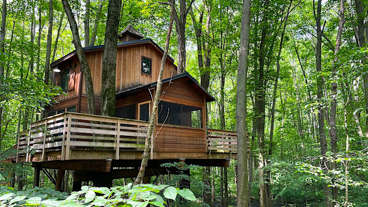 Sleeping amongst the trees at an Oak Openings treehouse - credit: Keith Langston