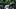 oregon ducks dan lanning oklahoma state cowboys boise state broncos davon benjamin offensive line eric morris mestemaker
