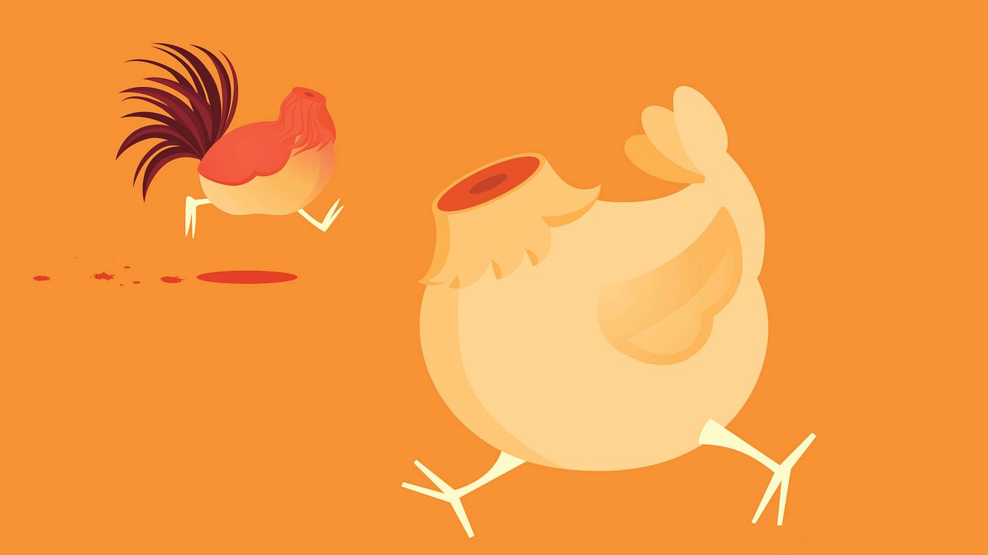 Mike the Headless Chicken: How a Botched Beheading Birthed a Sideshow Celebrity