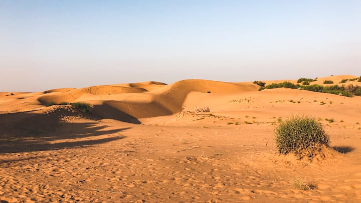 India‘s Thar Desert is looking a little greener than this nowadays.