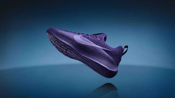 nike lebron bo trainer