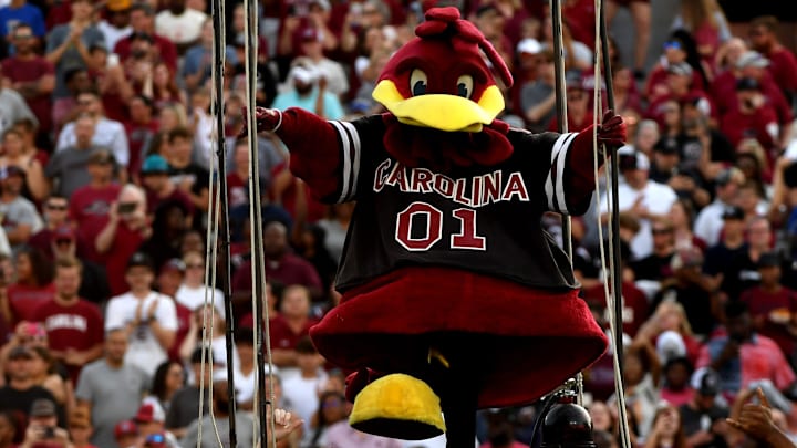 South Carolina football mascot Cocky