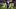Chicago Bears wide receiver Rome Odunze (15) leaves the field following a game against the Green Bay Packers.