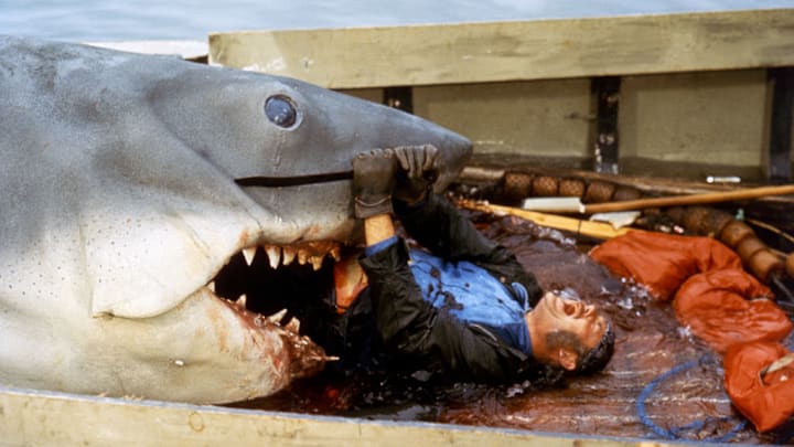 26 Incisive Facts About Jaws