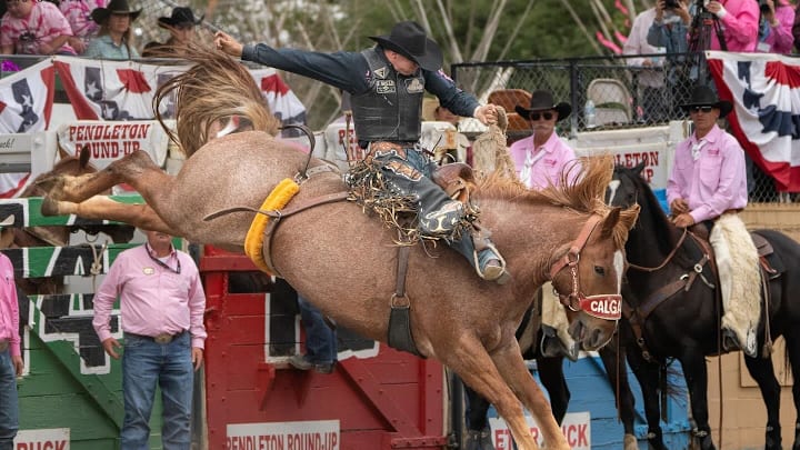 Cash Wilson at the Pendleton Round-Up Cash Wilson at the Pendleton Round-Up