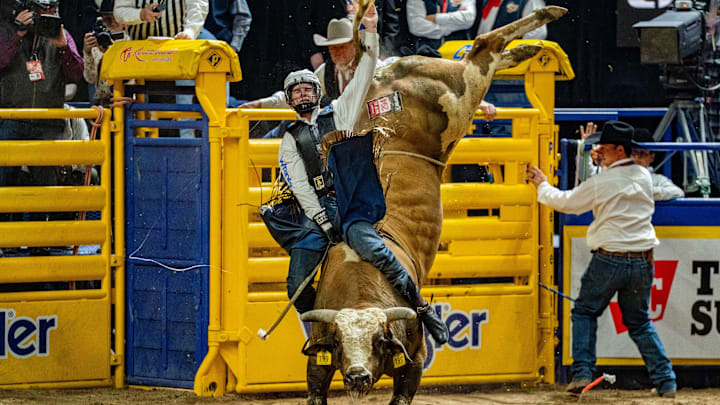 Qynn Anderson Qynn Anderson