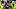 Chicago Bears quarterback Tyson Bagent Chicago Bears quarterback Tyson Bagent