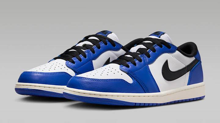 The Air Jordan 1 Low 