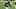 NY Jets NY Jets