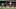Kai Havertz, Caoimhin Kelleher Kai Havertz, Caoimhin Kelleher