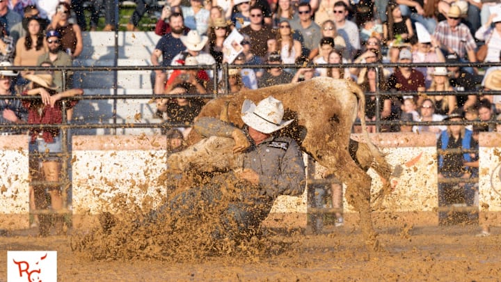 Steer wrestler Cash Robb fights to bring down a steer