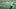 Dutch midfielder Johan Neeskens scores t Dutch midfielder Johan Neeskens scores t