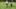 TOWL_106_GP_0503_0261-RT