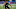 Chicago Bears, Paris Johnson Chicago Bears, Paris Johnson