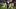 Chicago Bears wide receiver Rome Odunze (15) leaves the field following a game against the Green Bay Packers. Chicago Bears wide receiver Rome Odunze (15) leaves the field following a game against the Green Bay Packers.