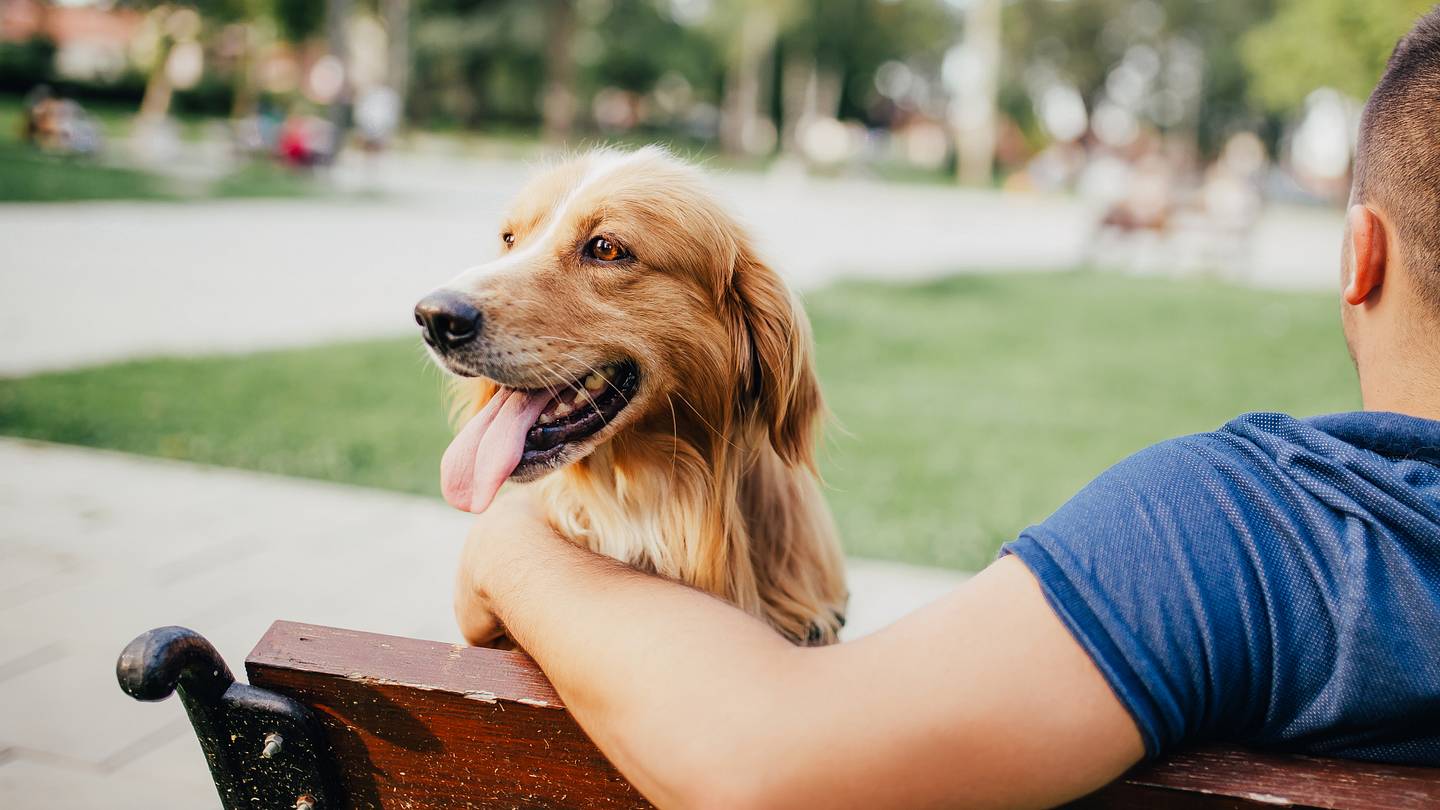 America’s Most—And Least—Pet-Friendly Cities, Ranked