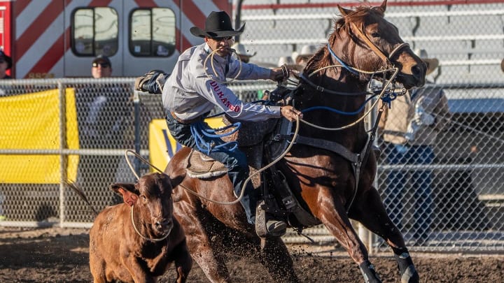 TIe-down roper Shane Hanchey picked up a much-needed win in Vernal, Utah at the Dinosaur Roundup Rodeo. 