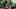 New England Patriots wide receiver A.J. Brown New England Patriots wide receiver A.J. Brown
