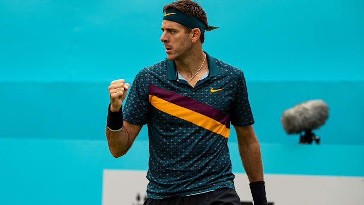 Juan Martín del Potro está cerca de retirarse