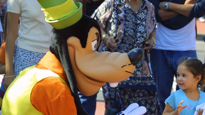 Walt Disney World