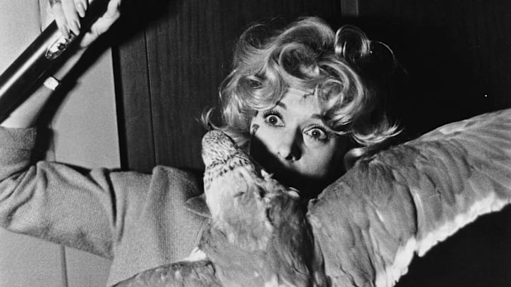 Tippi Hedren in The Birds