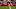 San Francisco 49ers, Deommodore Lenoir San Francisco 49ers, Deommodore Lenoir