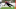 Thibaut Courtois