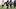 Jul 31, 2026; Houston, TX, USA; Houston Texans wide receiver Nico Collins (12) during training camp at Houston Methodist Trai Jul 31, 2026; Houston, TX, USA; Houston Texans wide receiver Nico Collins (12) during training camp at Houston Methodist Trai