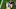 Trey Hendrickson, Matthew Stafford Trey Hendrickson, Matthew Stafford