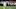 Kyler Murray Kyler Murray