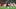 FBL-ESP-LIGA-BARCELONA-RACING FBL-ESP-LIGA-BARCELONA-RACING