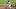 Oct 19, 2026; St. Petersburg, Florida, USA; Tampa Bay Rays outfielder Chandler Simpson (14) bunts a single. Oct 19, 2026; St. Petersburg, Florida, USA; Tampa Bay Rays outfielder Chandler Simpson (14) bunts a single.