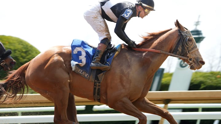 Flavien Prat, on top of Bourbon Breeze, won the 3rd race Thursday at Keeneland.
April 10, 2025