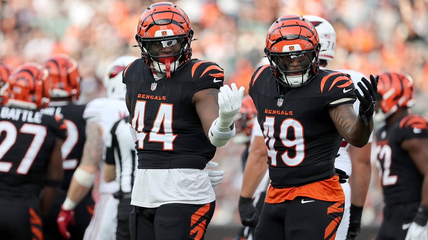 Bengals Linebackers Feeling 'Night And Day'  Difference in Year 2 Offseason