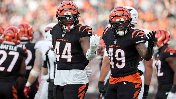 Dec 28, 2025; Cincinnati, Ohio, USA; Cincinnati Bengals linebacker Demetrius Knight Jr. (44) and Cincinnati Bengals linebacker Barrett Carter (49) react after a play during the second half against the Arizona Cardinals at Paycor Stadium. Mandatory Credit: Joseph Maiorana-Imagn Images