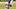 Detroit Tigers second baseman Gleyber Torres Detroit Tigers second baseman Gleyber Torres