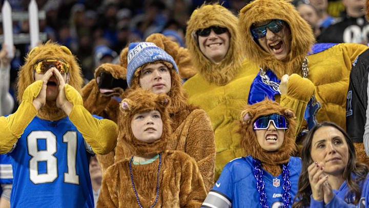 Fans look on during the game between the Pittsburgh Steelers and the Detroit Lions at Ford Field.