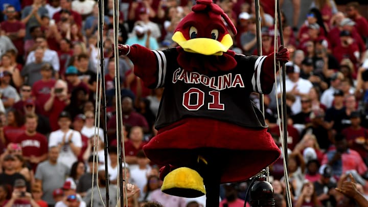 South Carolina Gamecocks mascot Cocky