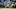 Chuck Knoblauch Chuck Knoblauch