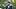 Philadelphia Eagles wide receiver DeVonta Smith