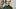 Edgar Allan Poe - Edgar Allan Poe -