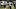 Jul 30, 2026; Houston, Texas, USA;  Houston Texans defensive end Dominique Robinson (97) during training camp at Houston Meth