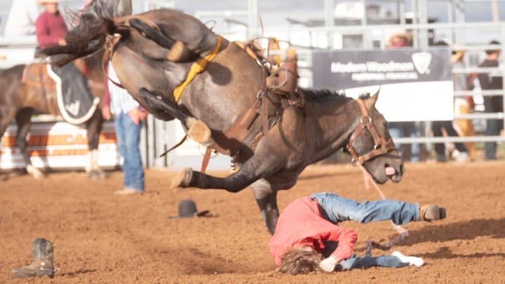 A ranch bronc rider crashes to the ground A ranch bronc rider crashes to the ground