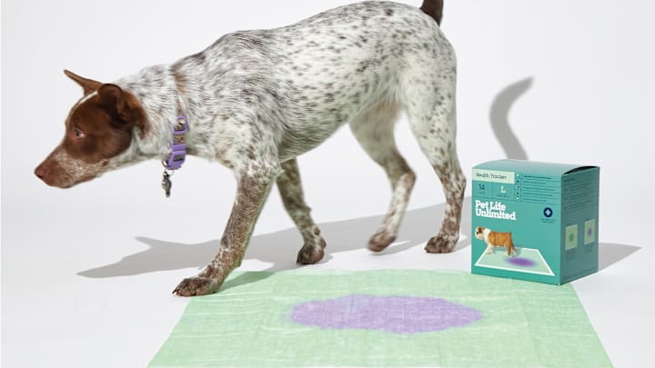Pet Life Unlimited’s Health Tracker Dog Pads help dog parents monitor urinary health with ColorTrack Technology for early issue detection.