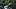 Nov 29, 2025; Seattle, Washington, USA; Oregon Ducks offensive lineman Trent Ferguson (56) celebrates with fans after the Duc